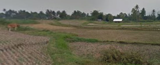Pertanian Nagari Tabek